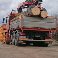 Abtransport von Problembäumen durch Josef Hochreiter Baggerarbeiten & Transporte